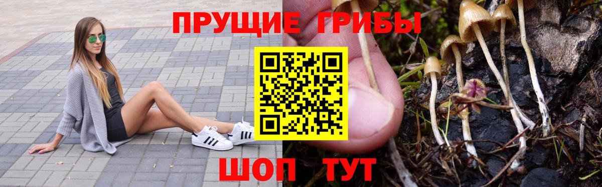 Сибай  Галлюциногенные грибы MAGIC MUSHROOMS  Вход с VPN  Галлюциногенные грибы MAGIC MUSHROOMS 